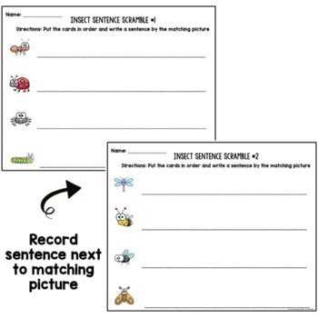 Insect Sentence Scramble | Centers | Kindergarten