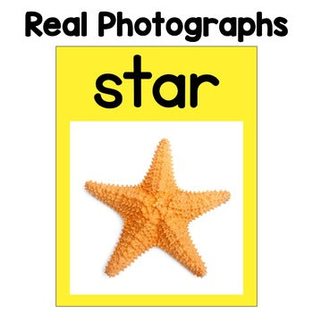 Nonfiction 2D and 3D Shapes | Real Pictures