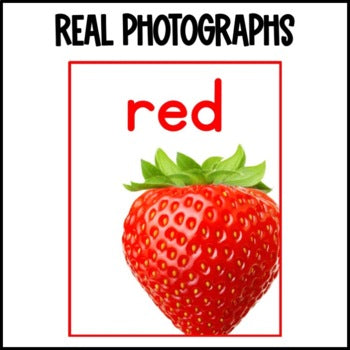 Nonfiction Color Posters | Real Pictures | English AND Spanish