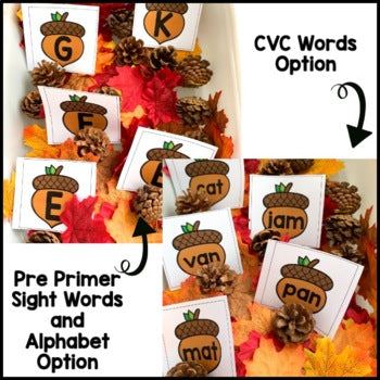 November Sensory Bin | Alphabet | Sight Word | CVC word center | Editable