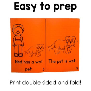 Word Family Decodable Books | CVC